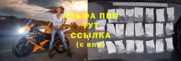 прущие грибы Краснослободск