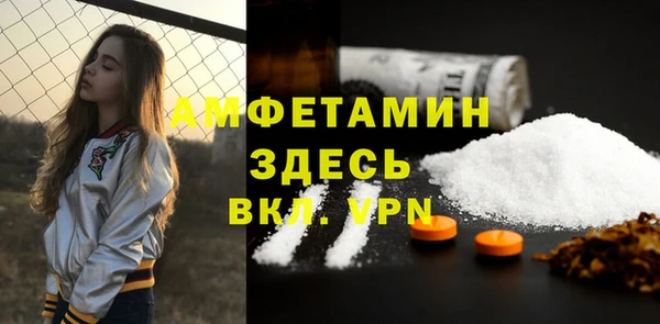 гашик Кулебаки