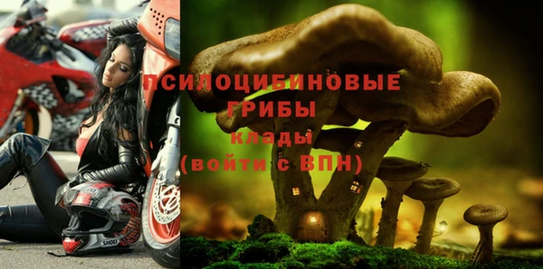 каннабис Куйбышев
