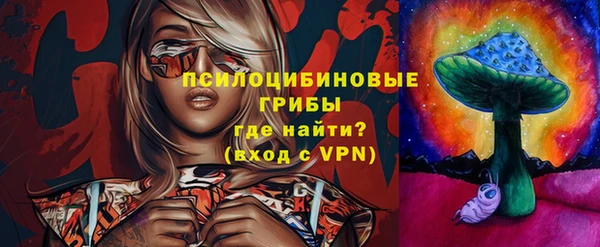 гашик Кулебаки