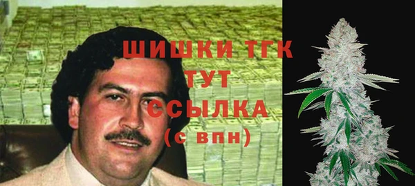 прущие грибы Краснослободск