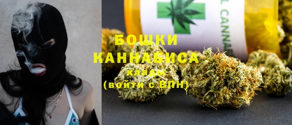 гашик Кулебаки
