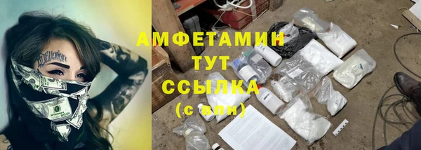 гашик Кулебаки