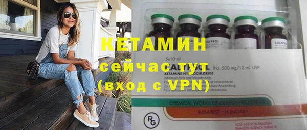 прущие грибы Краснослободск